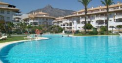 Apartamento en Nueva Andalucía