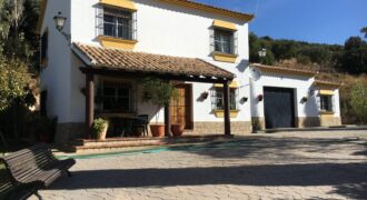 Oportunidad Venta de Finca en Antequera 12,7 Ha