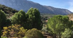 Oportunidad Venta de Finca en Antequera 12,7 Ha