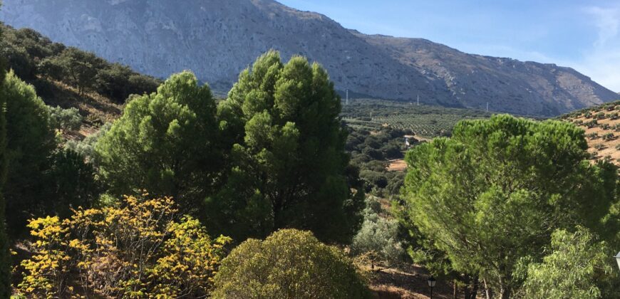 Oportunidad Venta de Finca en Antequera 12,7 Ha