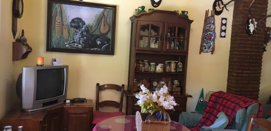 Oportunidad Venta de Finca en Antequera 12,7 Ha