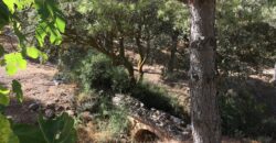 Oportunidad Venta de Finca en Antequera 12,7 Ha
