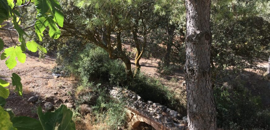 Oportunidad Venta de Finca en Antequera 12,7 Ha