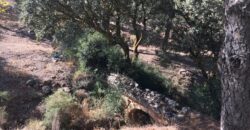 Oportunidad Venta de Finca en Antequera 12,7 Ha