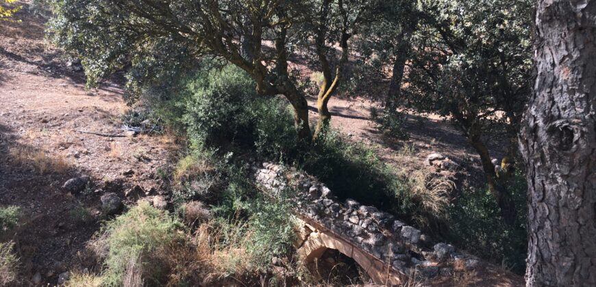 Oportunidad Venta de Finca en Antequera 12,7 Ha