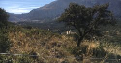 Oportunidad Venta de Finca en Antequera 12,7 Ha