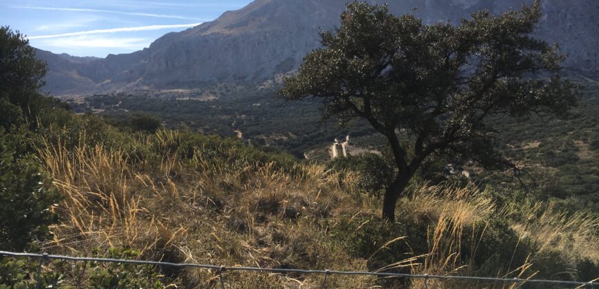 Oportunidad Venta de Finca en Antequera 12,7 Ha
