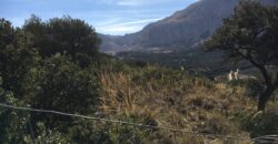 Oportunidad Venta de Finca en Antequera 12,7 Ha