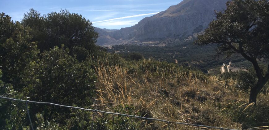Oportunidad Venta de Finca en Antequera 12,7 Ha