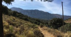 Oportunidad Venta de Finca en Antequera 12,7 Ha