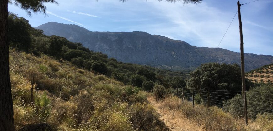 Oportunidad Venta de Finca en Antequera 12,7 Ha