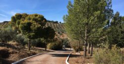 Oportunidad Venta de Finca en Antequera 12,7 Ha
