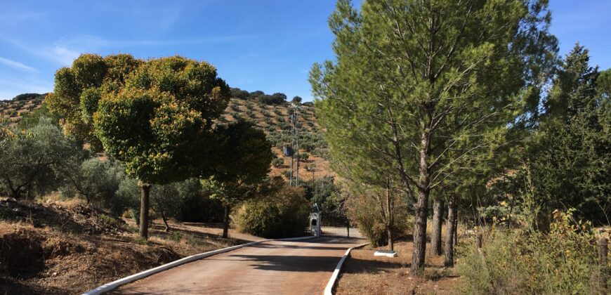 Oportunidad Venta de Finca en Antequera 12,7 Ha