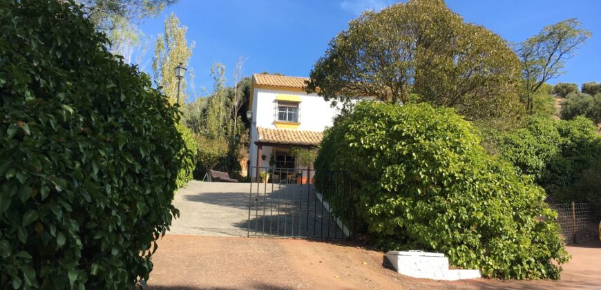 Oportunidad Venta de Finca en Antequera 12,7 Ha