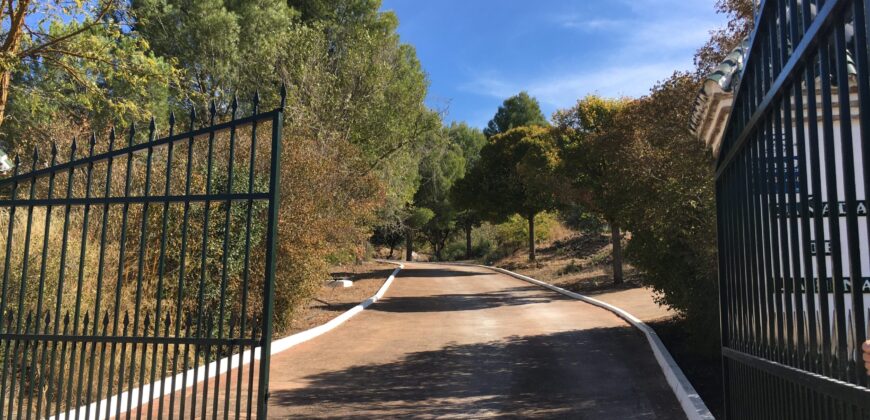 Oportunidad Venta de Finca en Antequera 12,7 Ha